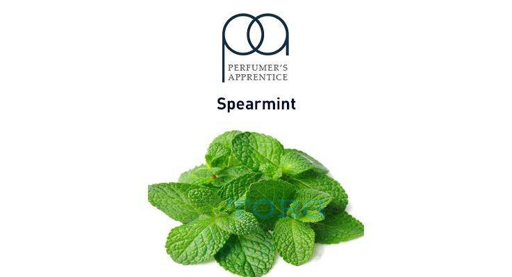 Ароматизатор TPA Spearmint